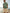 Bermuda sergé homme taille élastiquée