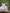 Housse de couette percale de coton "Bosquet"