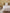 Percale cotton duvet cover "Far West"