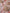 Fabric Indian Decor Mattress - Size S - Indore Print
