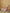 Indian fabric deco mattress - Size M - Penjab print