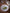Pack of 6 deep plates - Costa Nova Collection