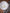 Pack of 6 Friso flat plates - Costa Nova Collection